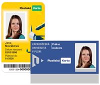 PK-JIS na web