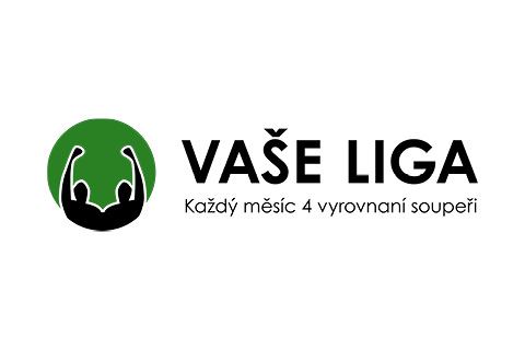 logo Vaše liga
